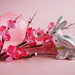 Easter Brown Photo 8