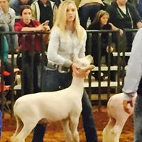 Jennifer Kessler Photo 45