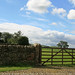 L Ellis Photo 16