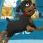 Kasey Armstrong Photo 14
