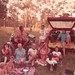 Robin Mott Photo 18