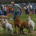 Donald Collie Photo 10