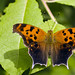 Mark Beech Photo 3
