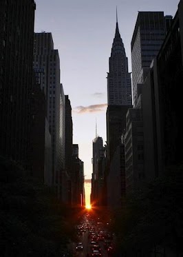Dianne Wright Photo 7