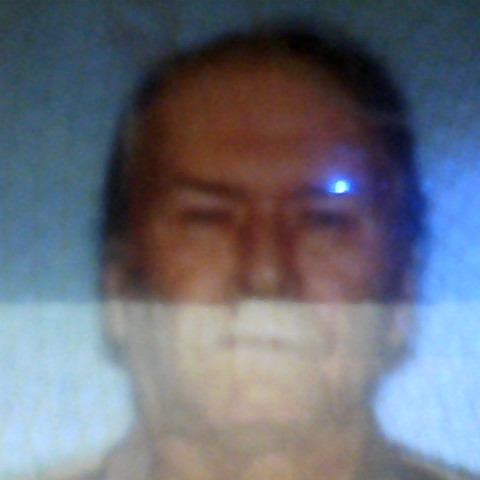 David Guidotti Photo 13
