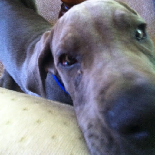 Jason Henderson Photo 6