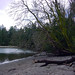 Steve Penrose Photo 13