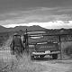 David Greenberg Photo 21