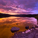 Dena Meadows Photo 6