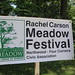 Rachel Meadows Photo 17