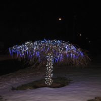 Nancy Divito Photo 4