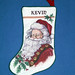 Kevin Stock Photo 16