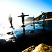 John Shults Photo 11