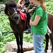 June Schaefer Photo 4