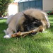 Leo Pappas Photo 18
