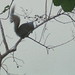 Jackie Berry Photo 16