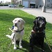 Tracy Mcgee Photo 19