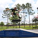 Bert Nelson Photo 26