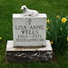 Lisa Wells Photo 41
