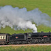 George Stevenson Photo 16