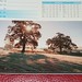 Mary Buchan Photo 20