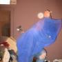Dan Hall Photo 15