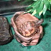 Jason Herman Photo 24