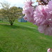 Chelsea Walters Photo 17