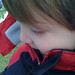 Ross Elliott Photo 20
