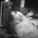 Donald Qualls Photo 16