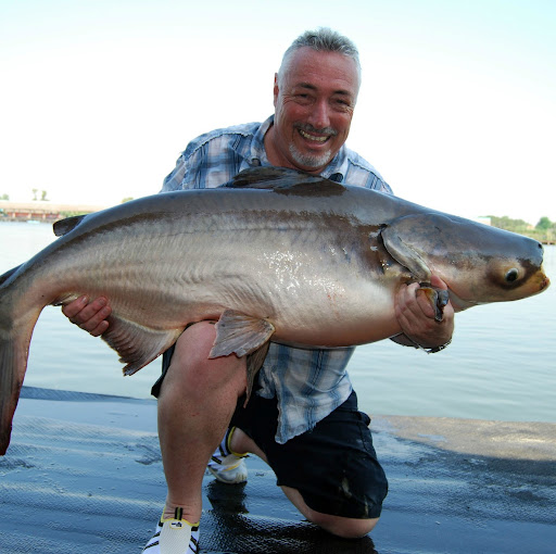 Phil Randall Photo 27