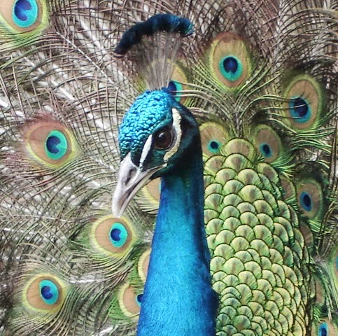 An Doan Photo 3