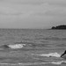 Jorge Rivas Photo 37