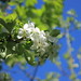 Rachel Joyce Photo 10