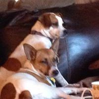 Nancy Ropp Photo 7