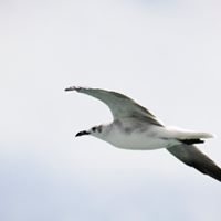 James Overton Photo 29