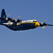 Albert Low Photo 17