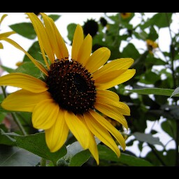 Steven Liu Photo 41