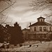 Randall Williams Photo 20