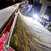Andre Tremblay Photo 24