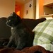 Timothy Gray Photo 55
