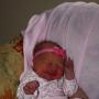 Elizabeth Warner Photo 18