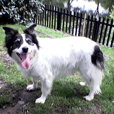 Paul Sharkey Photo 15
