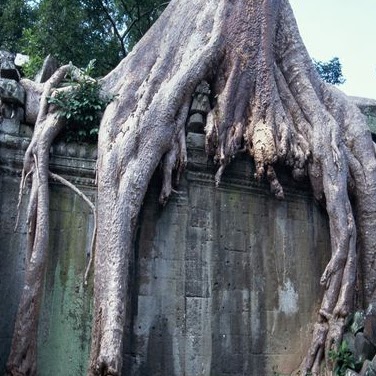 Lynn Pittman Photo 16
