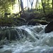 Sharon Howes Photo 22