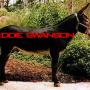 Eddie Swanson Photo 16
