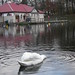 Glen Swan Photo 11