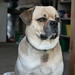 Cyrus Bailey Photo 7