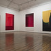 Rachel Howard Photo 10