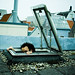 Robin Stein Photo 43